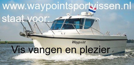 Op Tong vissen op de Westerschelde