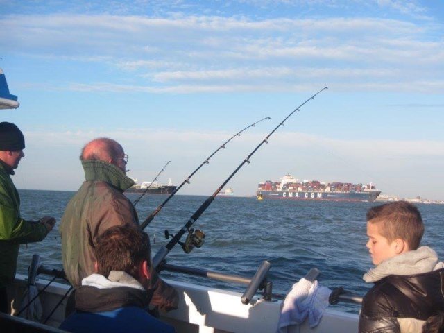 Vissen op de Westerschelde, Alain Tulleneers