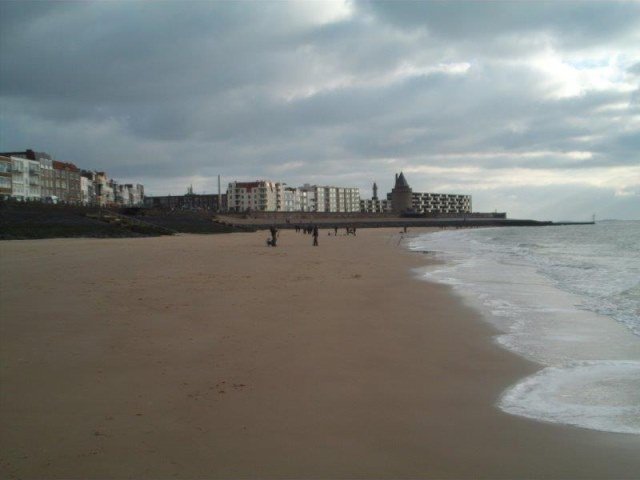 Strandvissen aan de Boulevard, te Vlissingen