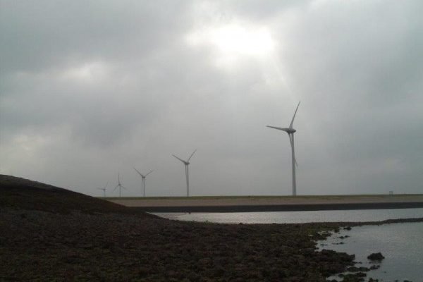 Nico, de Zeehondetemmer, gepen aan Zijpe