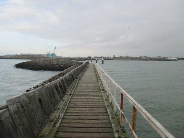 Vissen in de haven van Vlissingen, De Strandjutter