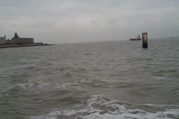 Strandvissen aan de Boulevard, Vlissingen