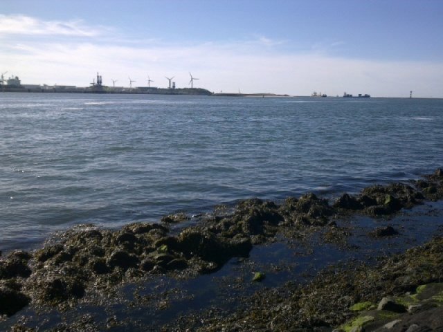De Meunenmaaier aan het Beerkanaal