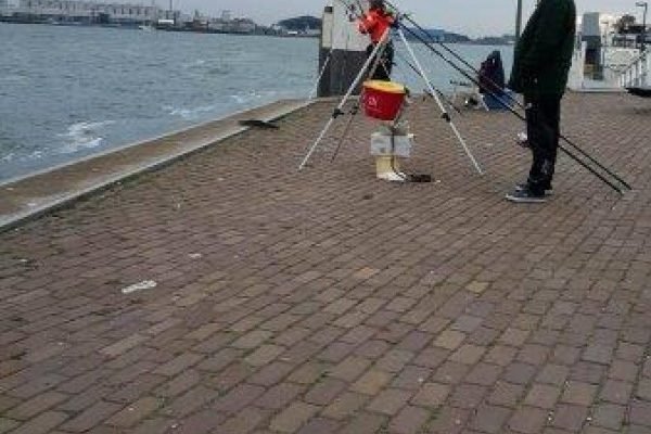 De Antwerpenaars aan Vlaardingen