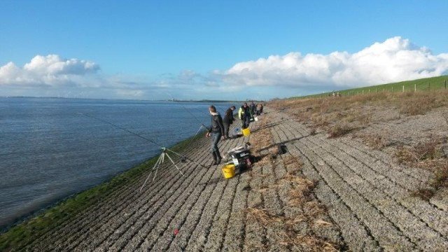 WSV Reimerswaal aan Waarde 14