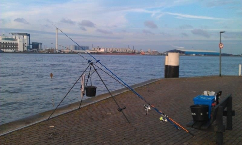 Reinier, vissen aan Vlaardingen/MV2