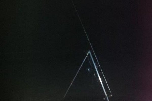 Wouter, www.zeevisshop.com, strandvissen