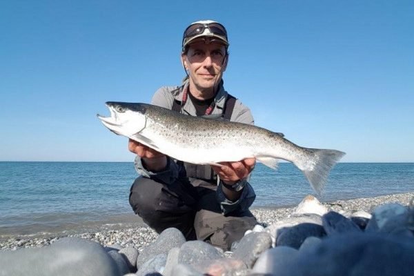 Gjerrilt klint, Denemarken, Zeeforel in Mei
