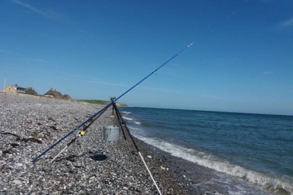 Kantvissen aan Gjerrild klint