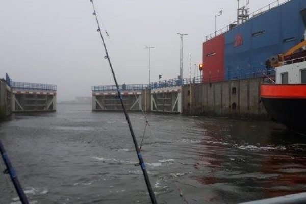 Eldert, vissen met Wiesje, Westerschelde