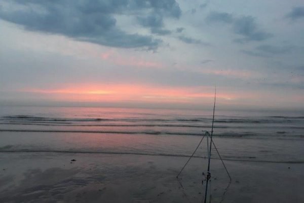 Eldert, vissen aan Domburg en Waarde