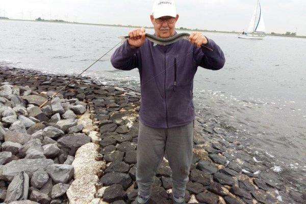 Nico, eerste geepsessie 2019, aan Bruinisse