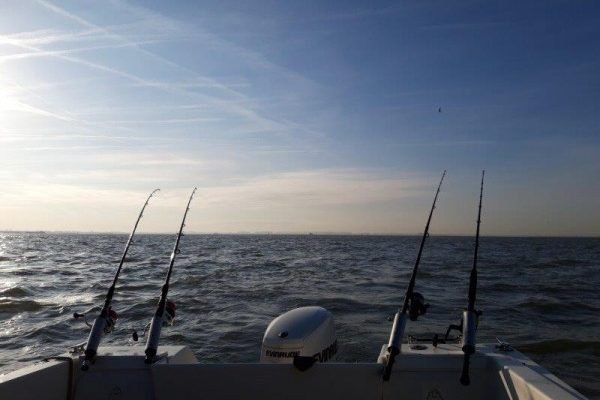 Tom en William, westerschelde visserij