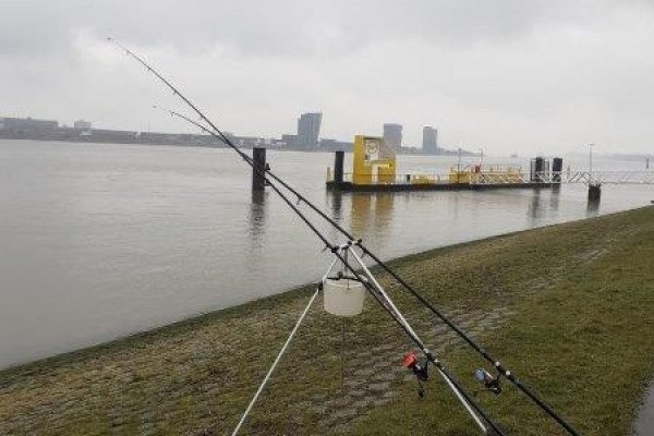 Stefan, vissen aan de Landtong