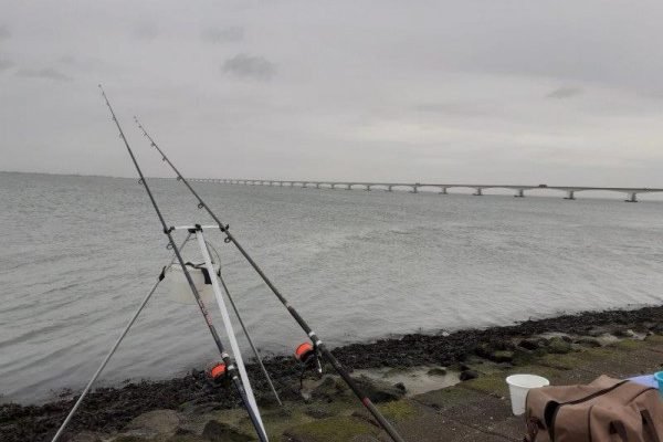 Stefan, kantvissen Oosterschelde