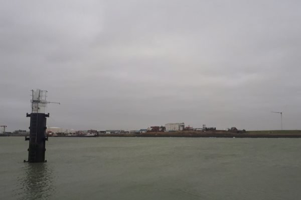 Nico, kantvissen Vlissingen haven