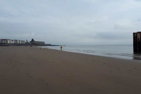 Nico, strandvissen