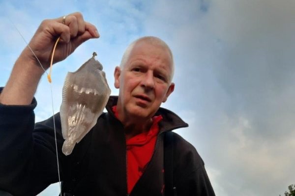 Eldert, tongvissen aan de Botlek