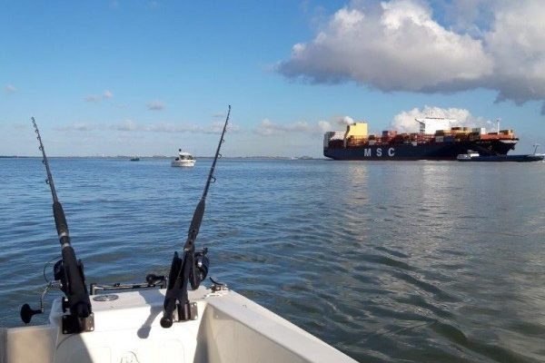 Tom, vissen westerschelde