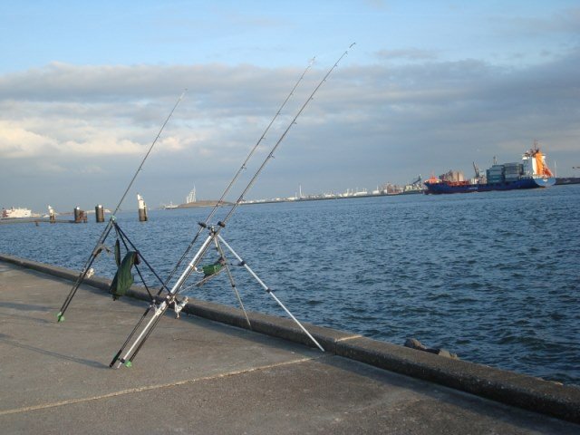 Hoek van Holland
