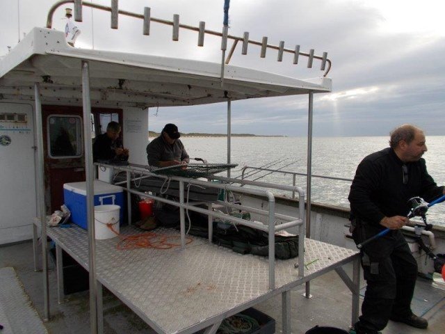 Tongvissen met Northseacharters