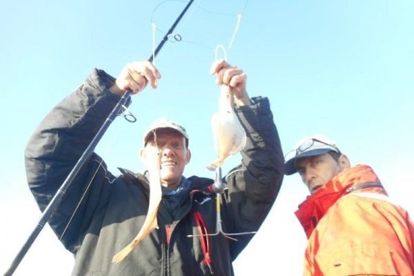 Voordelta, stekhopping met Frank