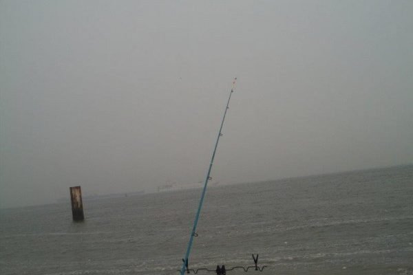 Strandvissen met Nico en Johan