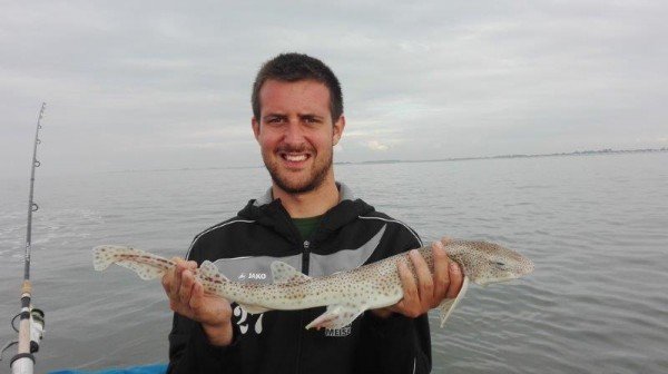 Luc en Greg, Haai en Tong op de Oosterschelde