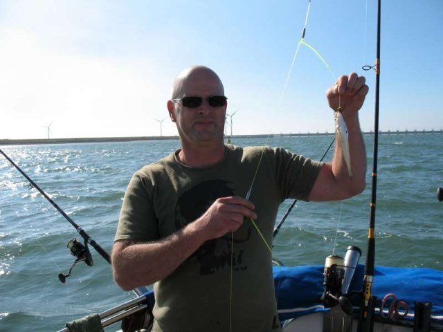 Avondje wildkamperen op de oosterschelde