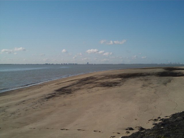 Kantvissen met Nico(Alias de Zeehondetemmer)