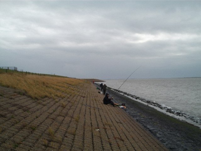 H.s.v Philips te Waarde
