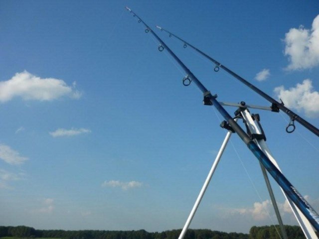 Vissen in de Europoort