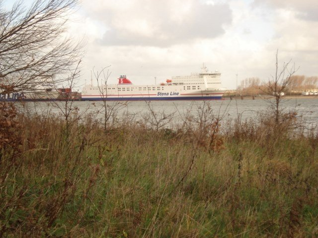 Leo op herhaling naar  De Maasvlakte 2