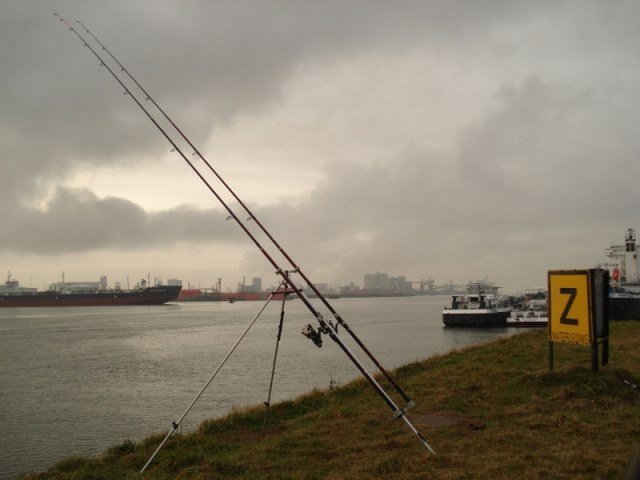 Leo aan het Callandkanaal
