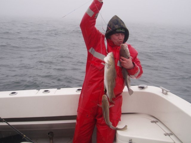 Rover-seafishing op de wrakken