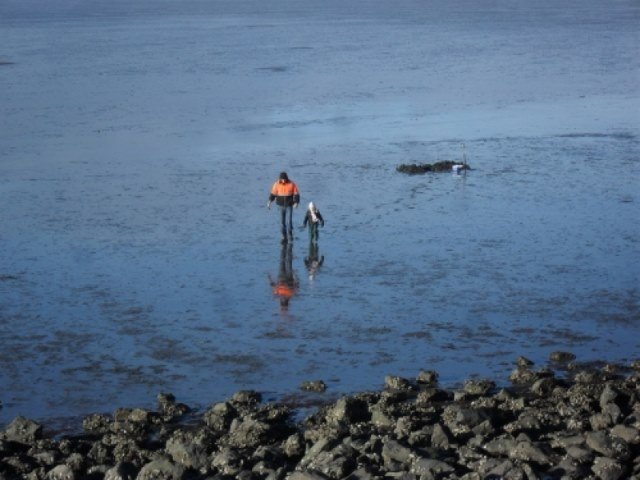 Jack en Mario aan Cadzand