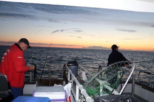 Tongvissen met northseacharters, vrijdag 24 juni