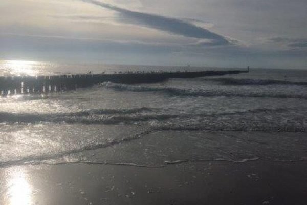 Richard, strandvissen aan Domburg