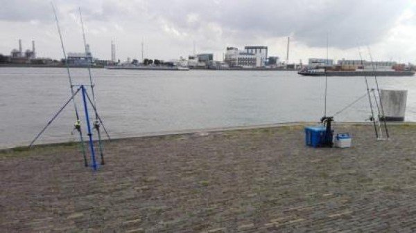 Robin en Dirk, vissen aan Vlaardingen