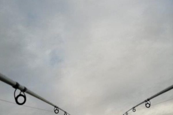 Gino, vissen aan de Waterweg