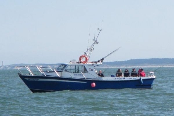 Dag 3, Sharkataq, door Alain Tulleneers