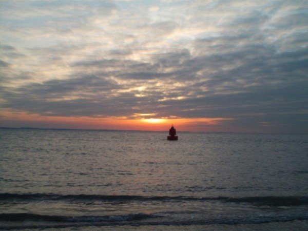 Strandvissen aan de Boulevard te Vlissingen