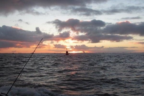 Clan Tulleneers, vissen op de Westerschelde