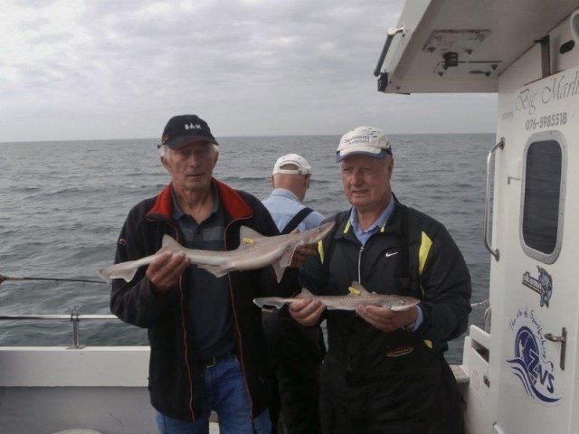 De dinsdagploeg, shark atag