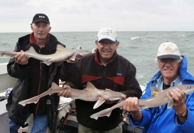 De dinsdagploeg met de Big Marlin, haaienjacht