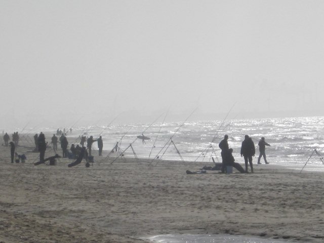 Strandvissen aan Ter Heijde met De Eurovissers