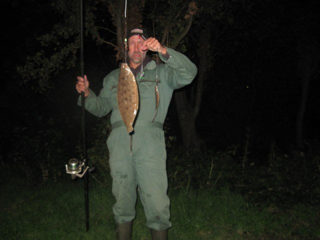 Tongvissen in de Waterweg