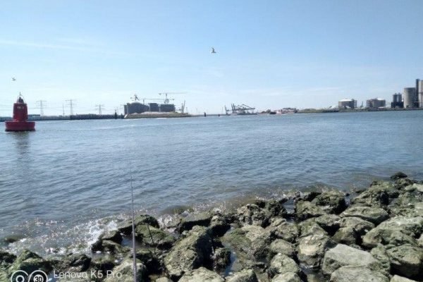 Ies, vissen Beerkanaal