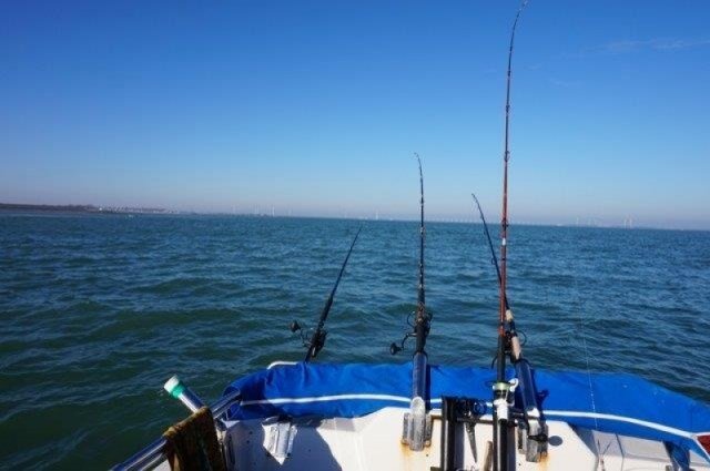 Gul vangen op de Oosterschelde, Lucky Luc