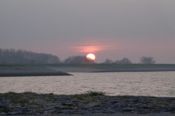 Huib, kantvissen Oosterschelde